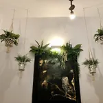 Vager Mani 卡拉马塔